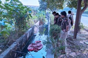 Crime News: नोएडा में सनसनी – नाले से मिली सिर कटी महिला की निर्वस्त्र लाश