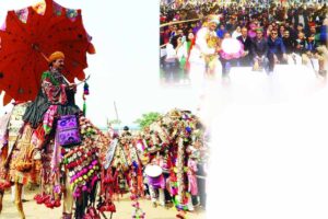 Rajasthan Desert Culture: श्रृंगार से ऊंटों को शाही सवारी बनाने वाले अशोक टाक