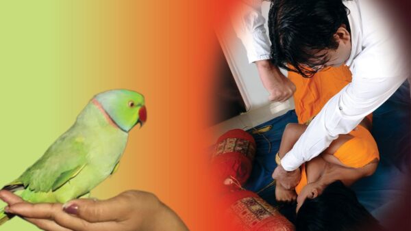 Family Crime Story : तोते ने खोला हत्या का राज
