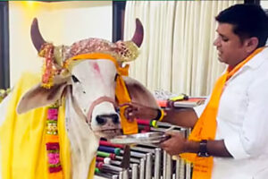 Cow Palace Rajasthan : गाय को पहनाए 24 लाख के आभूषण